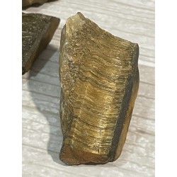 Oeil de tigre - Brut PM