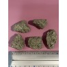 Pyrite - Brut PM