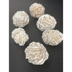 Rose des sables - Brut PM