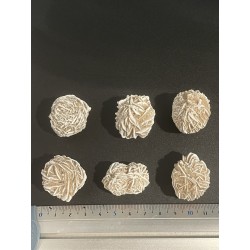 Rose des sables - Brut PM