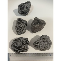 Obsidienne neige - Brut PM