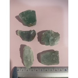 Fluorine verte - Brut PM