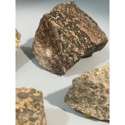 Jaspe léopard - Brut PM