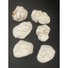 Magnésite - Brut PM