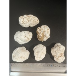 Magnésite - Brut PM