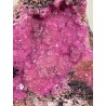 Cobaltocalcite cristallisée zoomé - pièce unique.