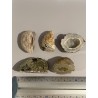 Petite géode d'agate et de quartz - dimensions