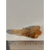 Groupe de quartz tangerine hématoïde