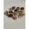 Agates rubanées polies