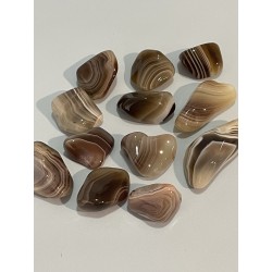 Agates rubanées polies