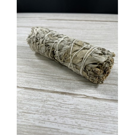 Smudge Sauge Blanche MM