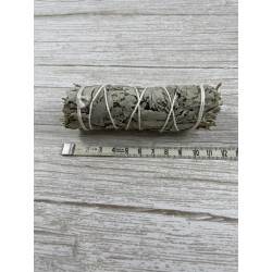 Smudge Sauge Blanche PM